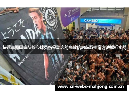 快速掌握国家队核心球员伤停动态的高效信息获取指南方法解析实战 快速掌握国家队核心球员伤停动态的高效信息获取指南方法解析实战