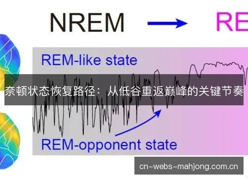 奈顿状态恢复路径：从低谷重返巅峰的关键节奏